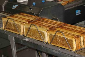 Miellerie production de miel en Alsace